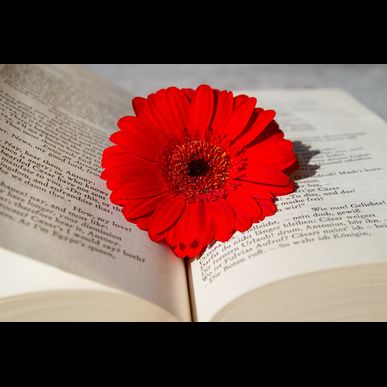 東京でイベントの司会をお探しの方